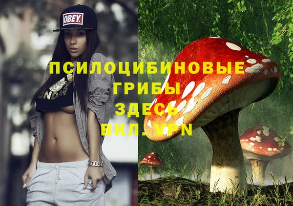 a pvp Армянск