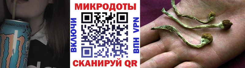 Купить  Межгорье  Галлюциногенные грибы прущие грибы 